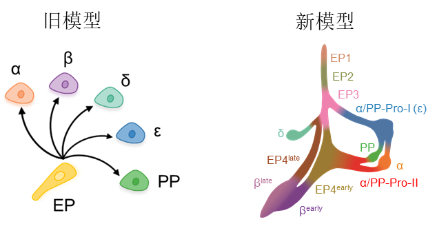 731c369a5a6b4da9bf9114e0a8efecfd.png 731c369a5a6b4da9bf9114e0a8efecfd.png